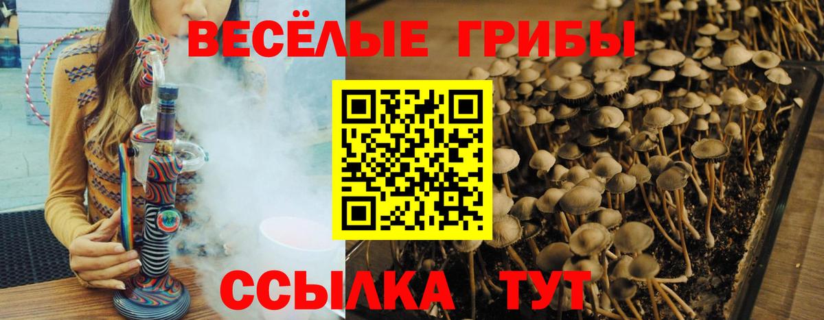 Псилоцибиновые грибы мухоморы  Вход с VPN  Северобайкальск 